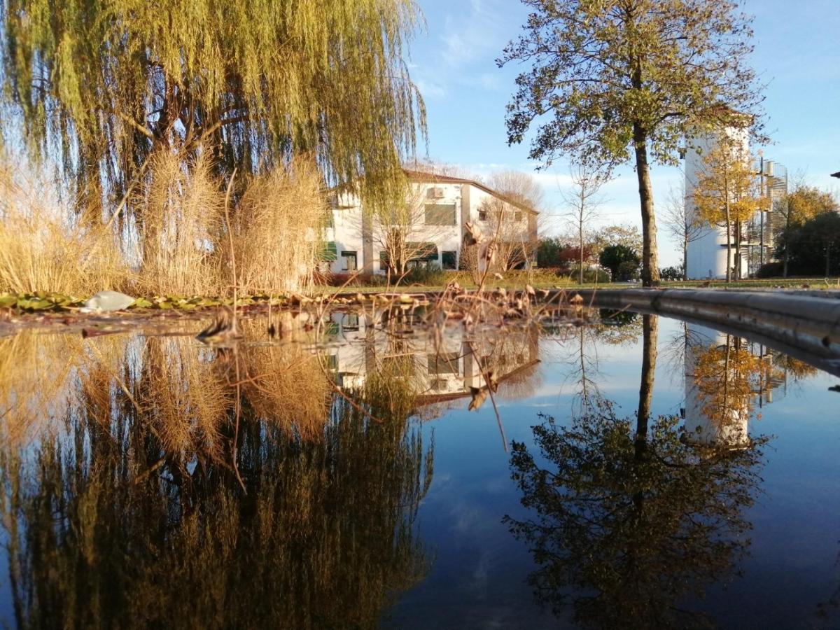Oasi Bianca Hotel Pomposa Екстериор снимка